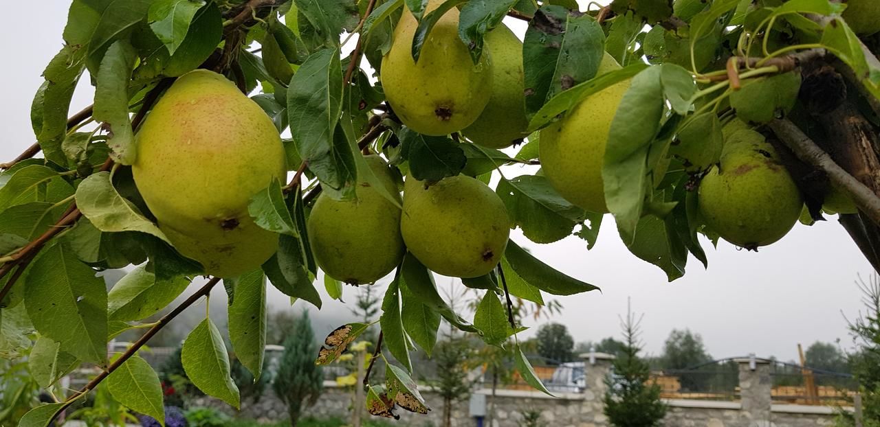 Шале Vuthaj Eko Katun Vusanje Gusinje-47